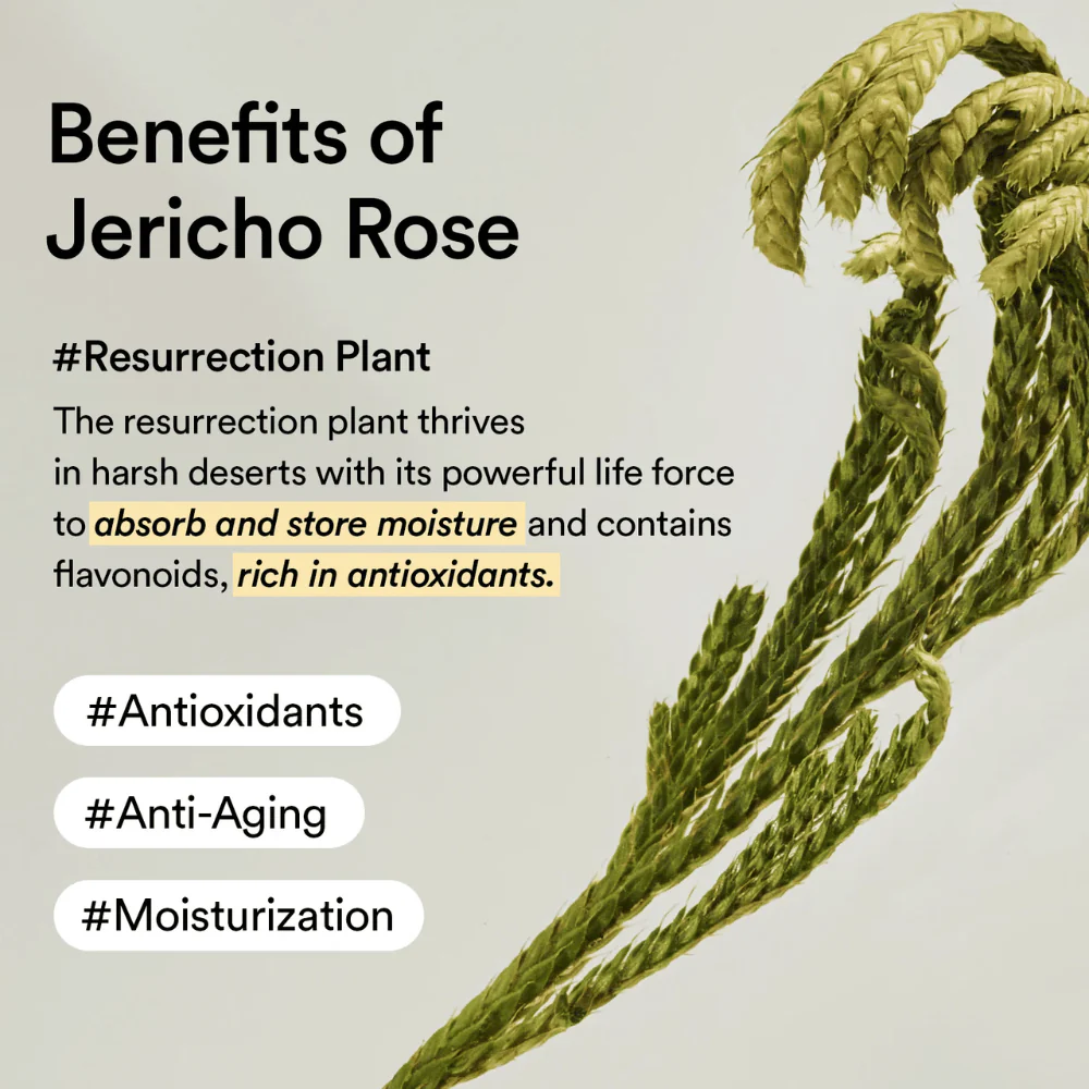 Collagen Eye Crème Jericho Rose Tube 30ml - Image 8